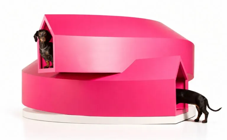 Dogchitecture transforma casas para perros en originales piezas de diseño mexicano
